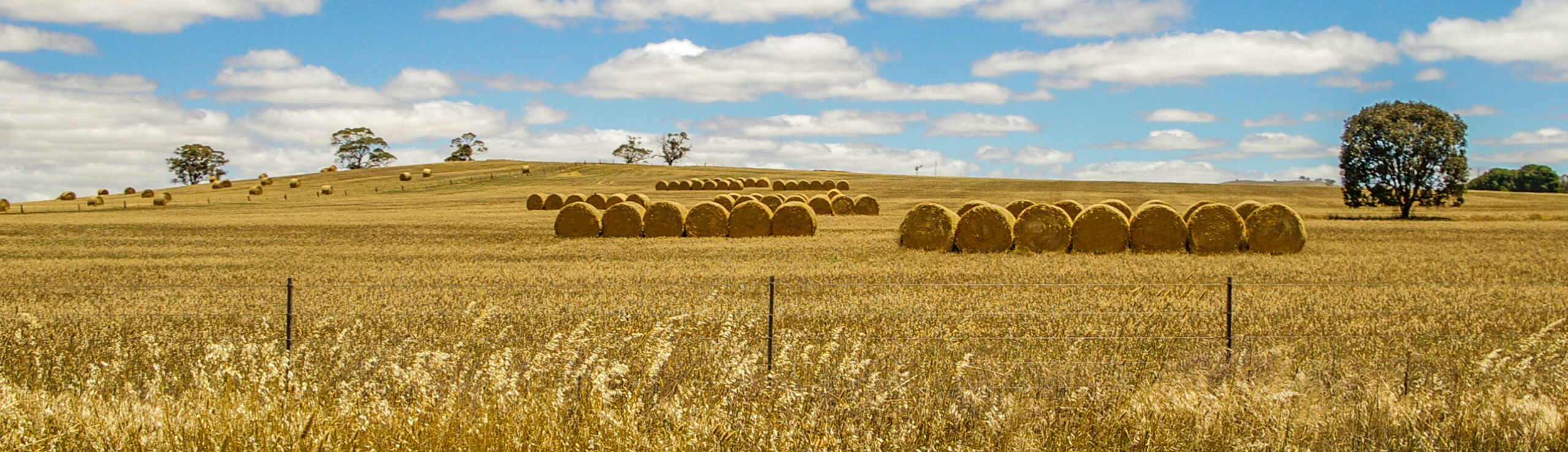 Agri Novatex Australia